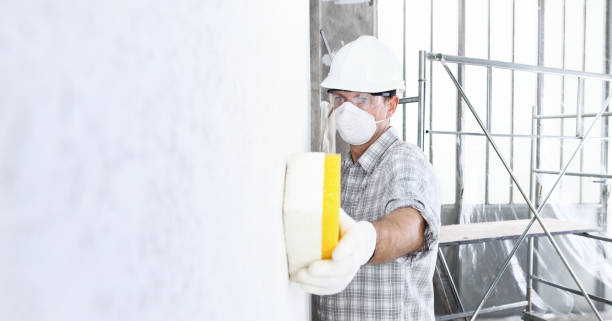  Cleveland, OK Mold Removal Pros