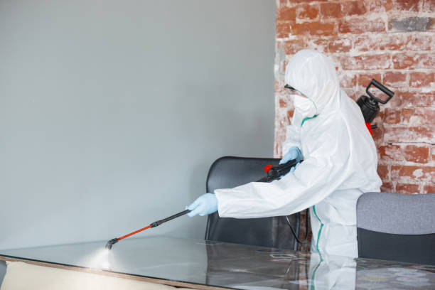 Best Mold Odor Removal Services in Cleveland, OK