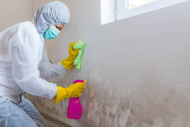 Reliable Cleveland, OK Mold Removal Solutions