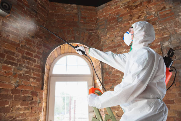 Best Asbestos and Lead Testing During Mold Inspection in Cleveland, OK